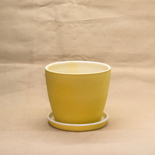 Lemon Bar Round Planter #1 by Alex Staheli