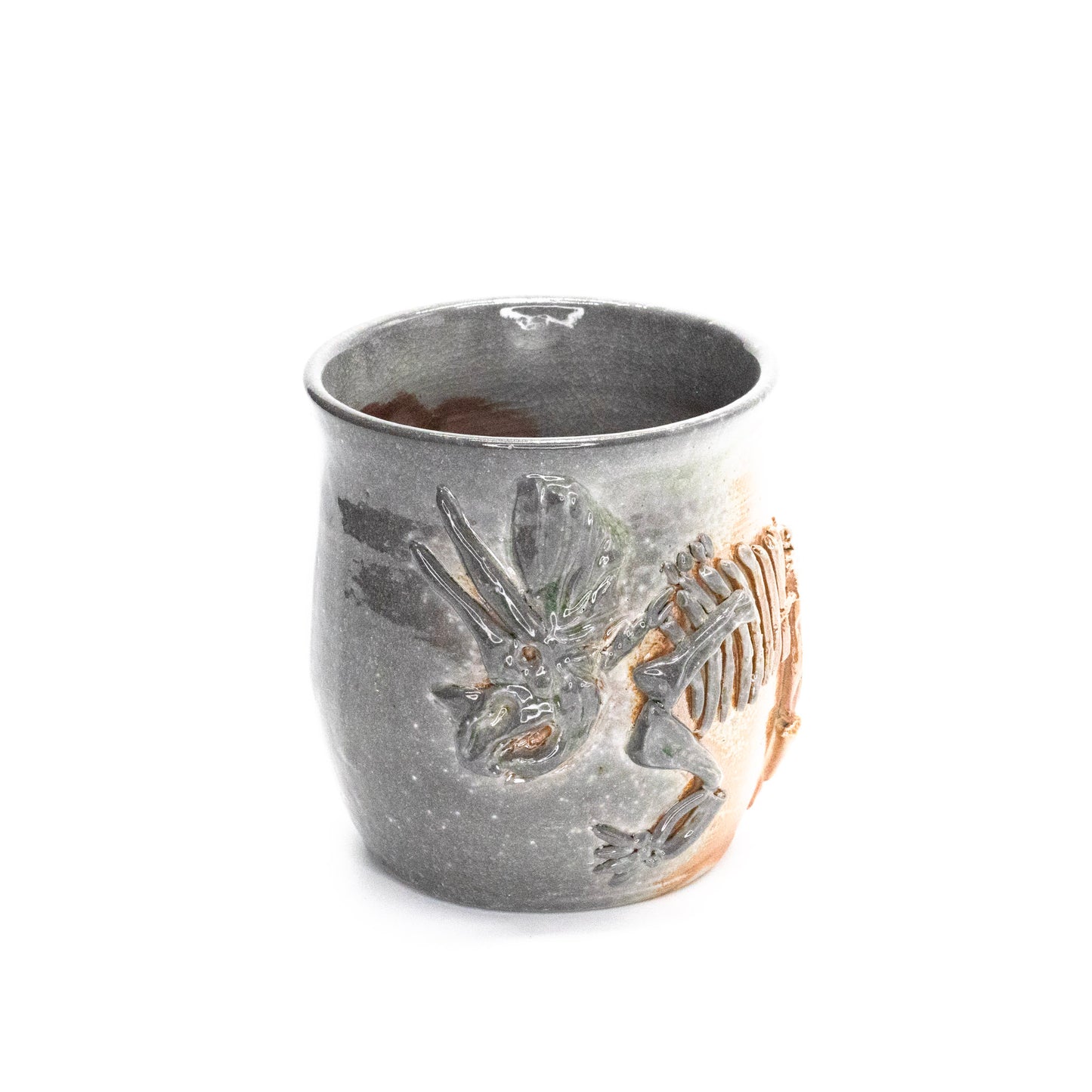 Triceratops Unearthed by Jennifer Behnke