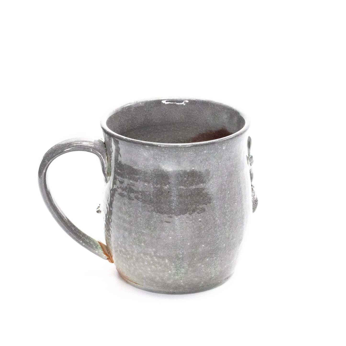 Triceratops Unearthed by Jennifer Behnke