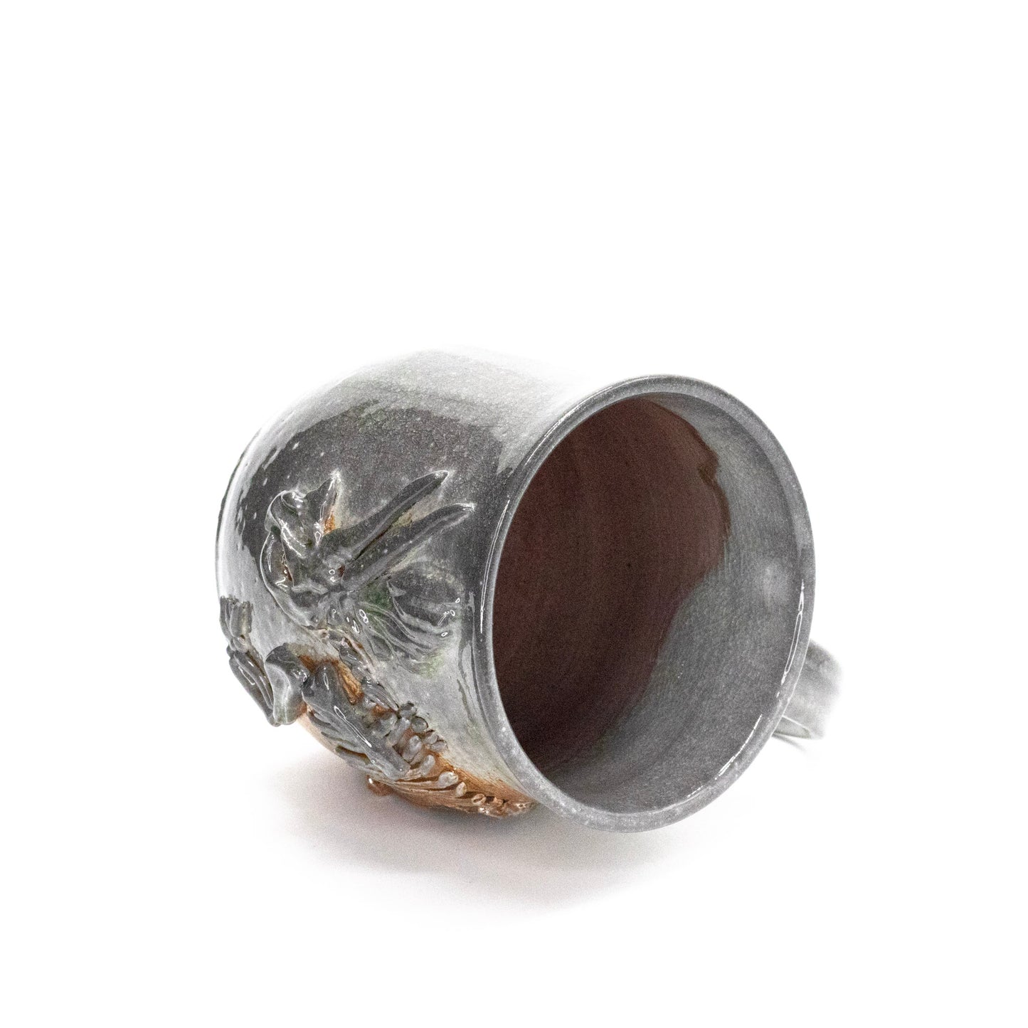 Triceratops Unearthed by Jennifer Behnke