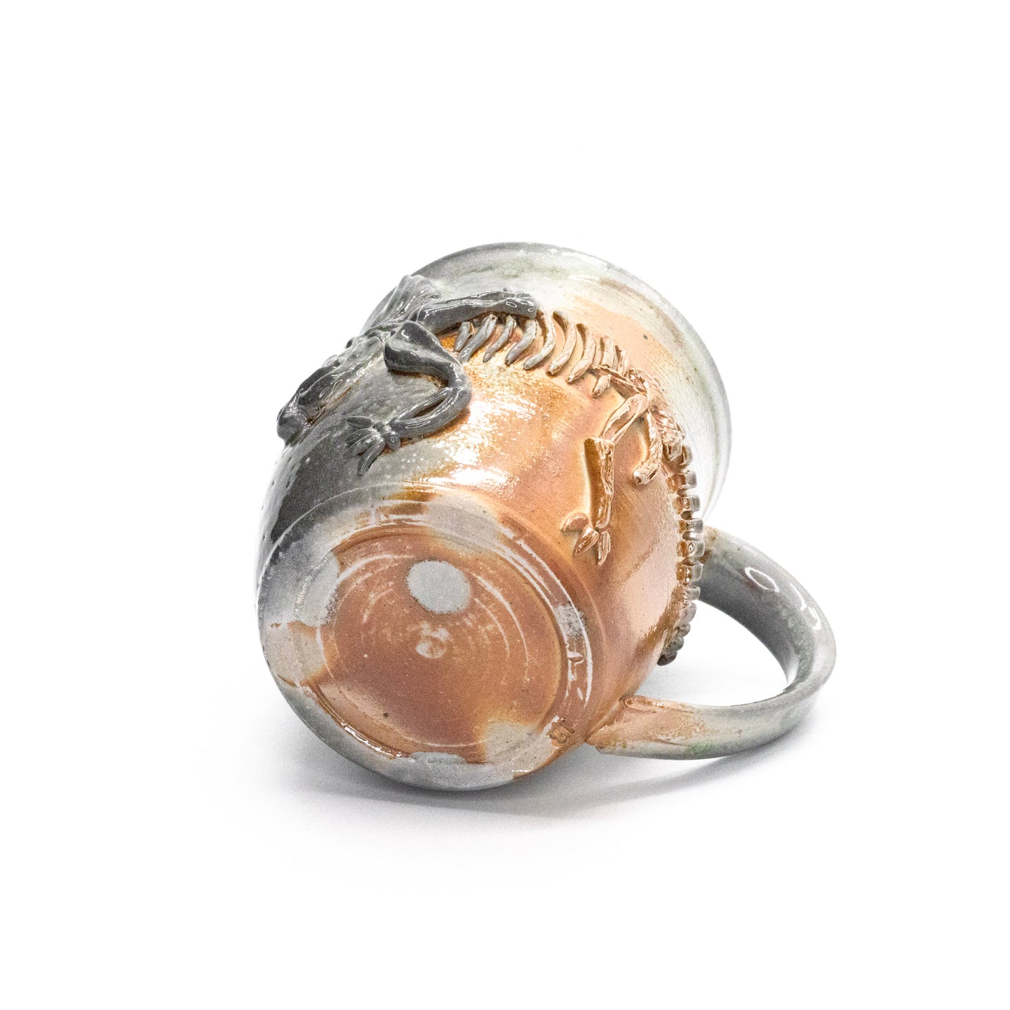 Triceratops Unearthed by Jennifer Behnke