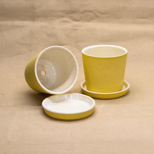 Lemon Bar Small Planter by Alex Staheli