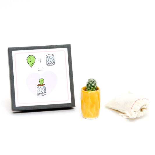 Mini Propagation Kits by Spalted Home